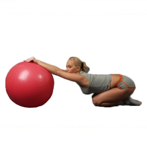 Мяч гимнастический красный (Фитбол) ОРТОСИЛА Арт. L 0165 b, диаметр 65 см