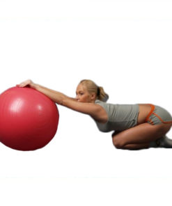Мяч гимнастический красный с ABS L 0765 b, диаметр 65 см