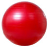Мяч гимнастический гладкий с системой ABS Арт. VEGA-501/55