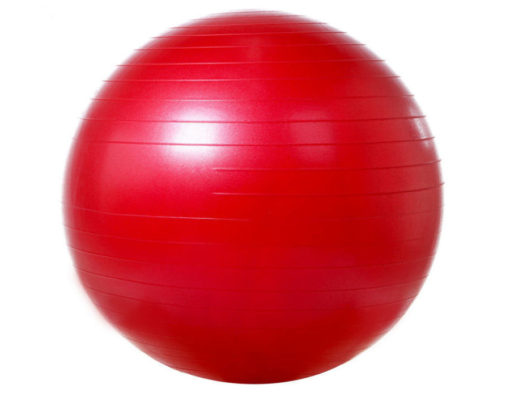 Мяч гимнастический гладкий с системой ABS Арт. VEGA-501/55
