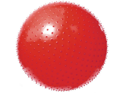 Мяч массажный гимнастический игольчатый Арт. VEGA-602/55